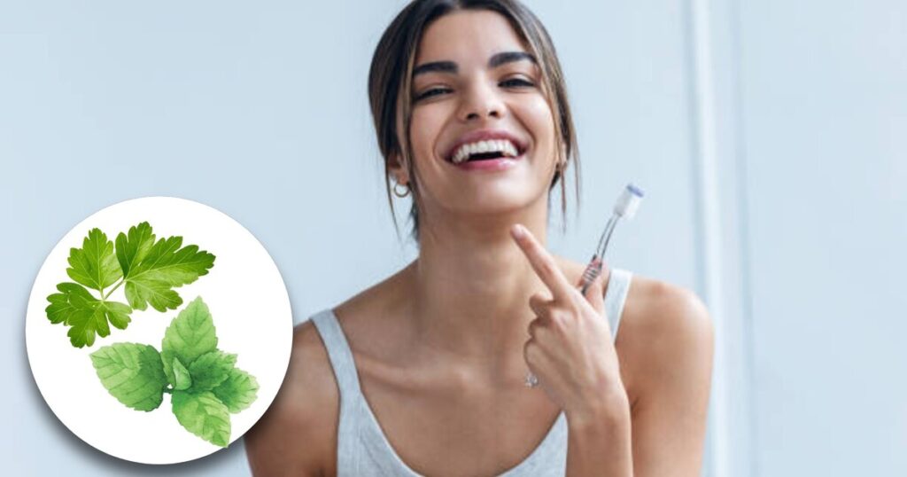 🌿 Remedio Casero para el Mal Aliento con Bicarbonato y Menta